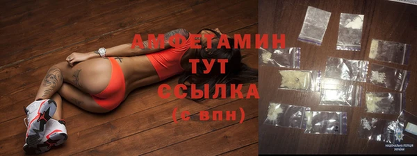 сатива Баксан