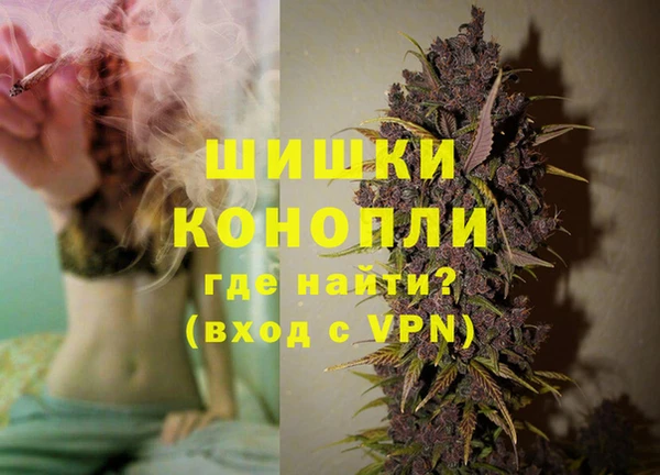 сатива Баксан
